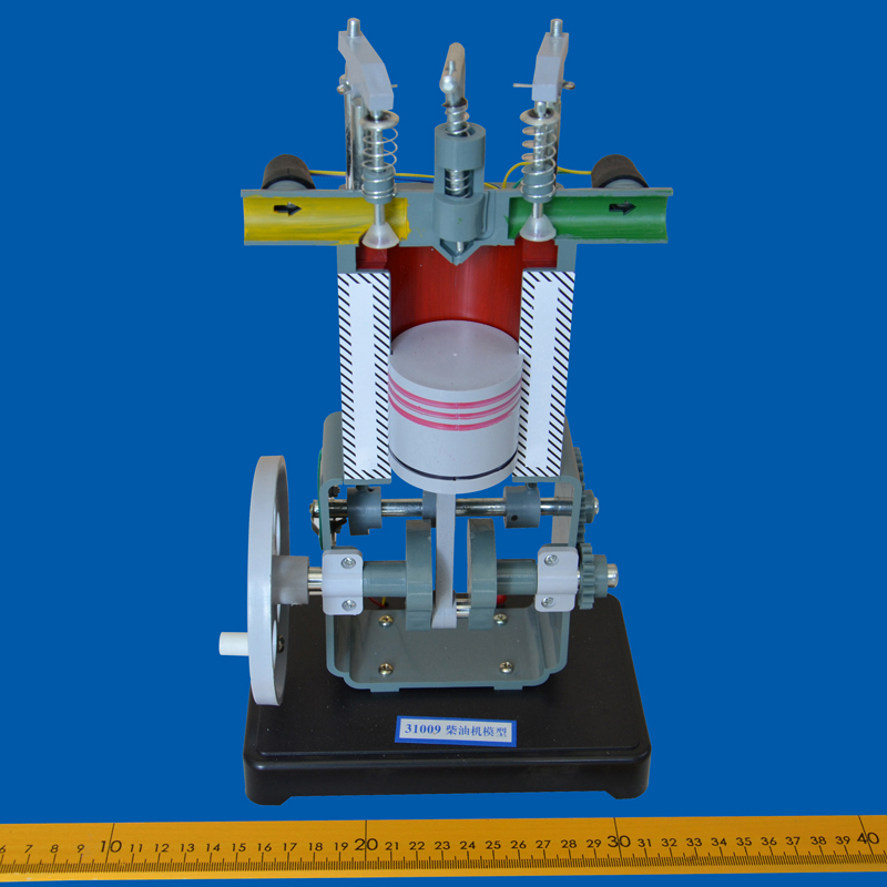 31009���͙Cģ��