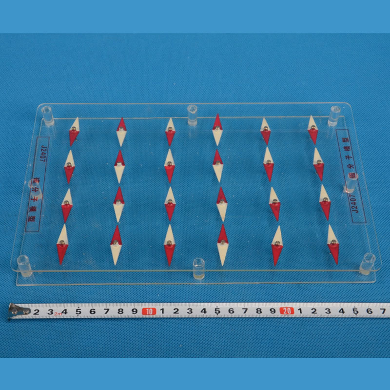 31010�ŷ���ģ��