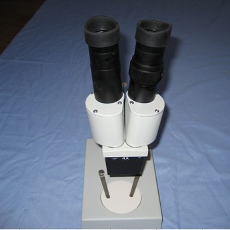 02044�pĿ���w�@΢�R