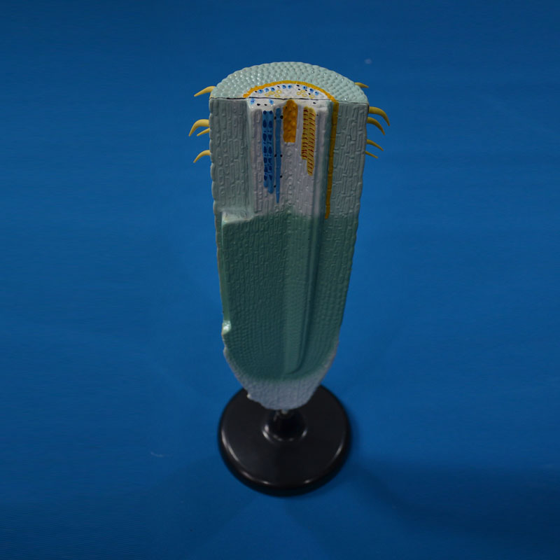 33002���v��ģ��