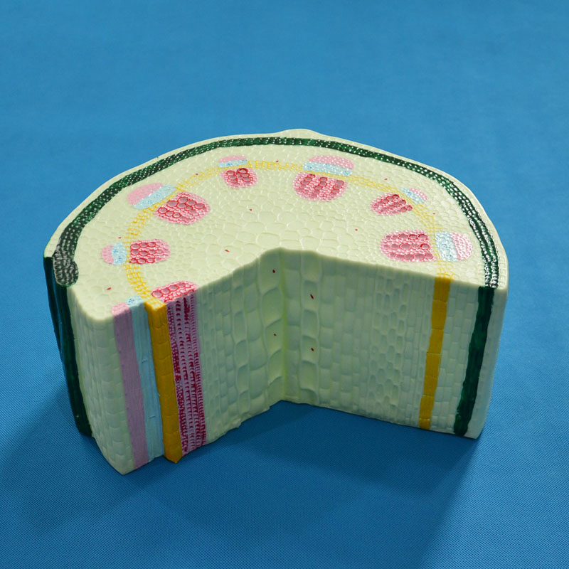 33004�����~ֲ���oģ��