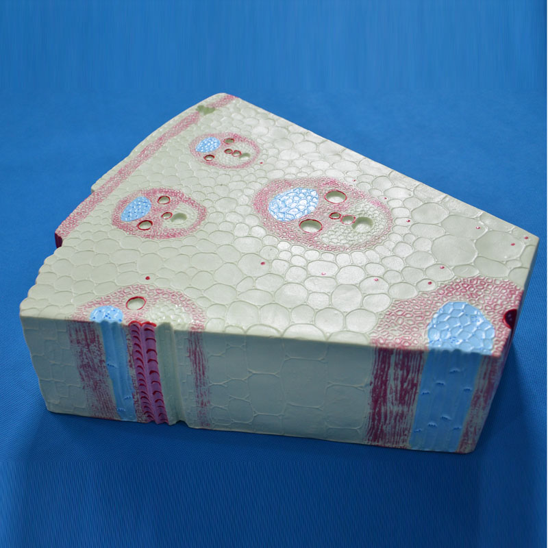 33005�p���~ֲ���oģ��