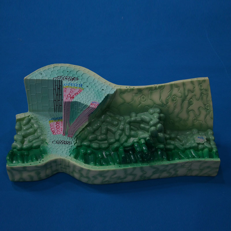 33006�~��(g��u)��ģ��