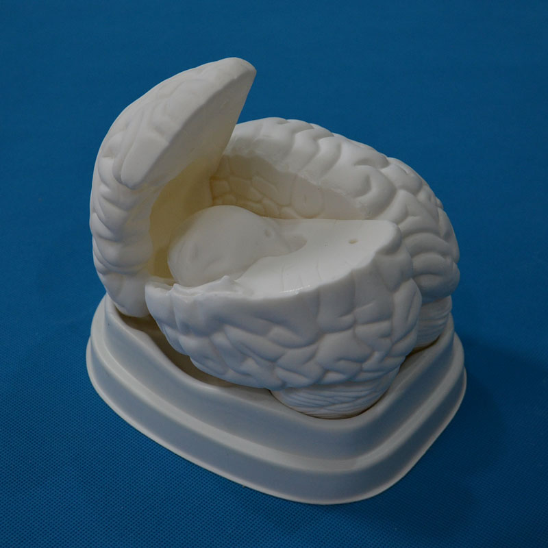 33211�X����ģ��