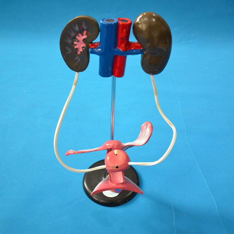 33214Ů��������ֳϵ�y(t��ng)ģ��