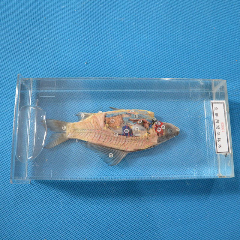 43001�~���ʽ��Ƙ�(bi��o)��