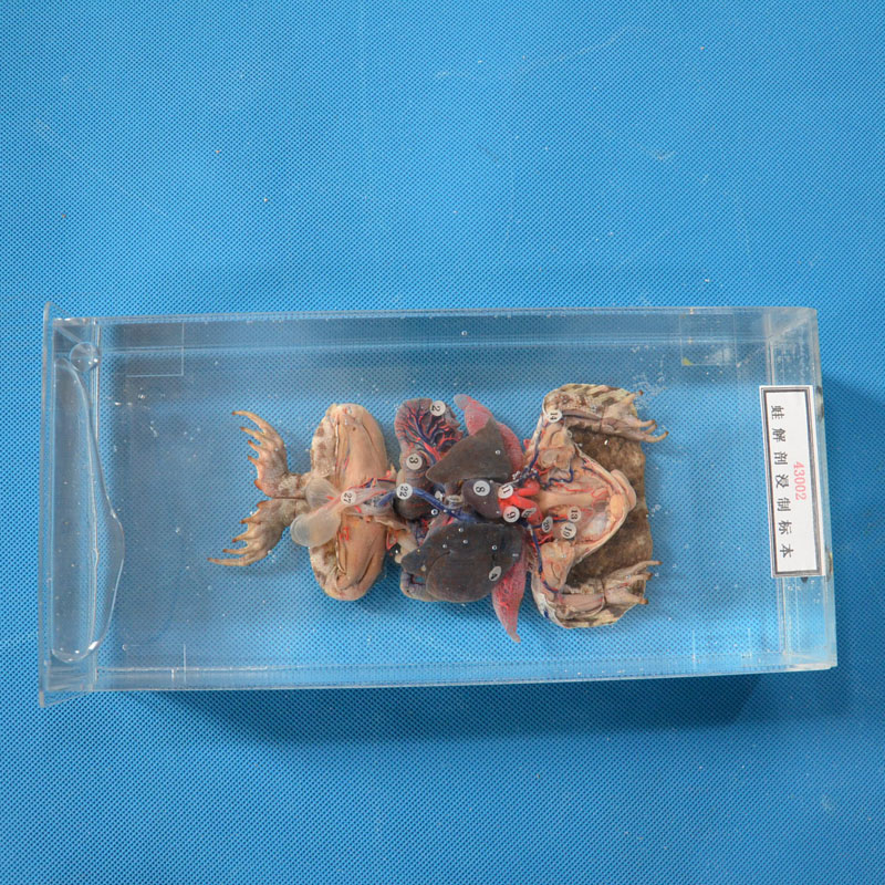 43002�ܽ��ʽ��Ƙ�(bi��o)��