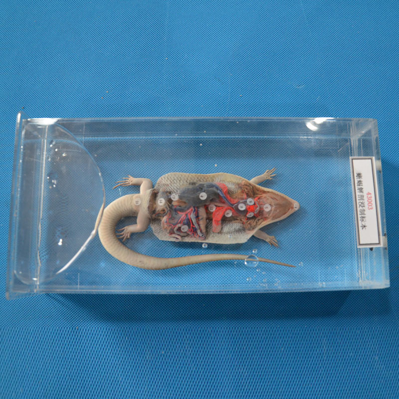 43003������ʽ��Ƙ�(bi��o)��