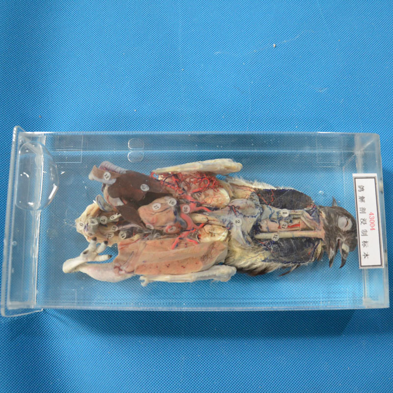 43004�����ʽ��Ƙ�(bi��o)��