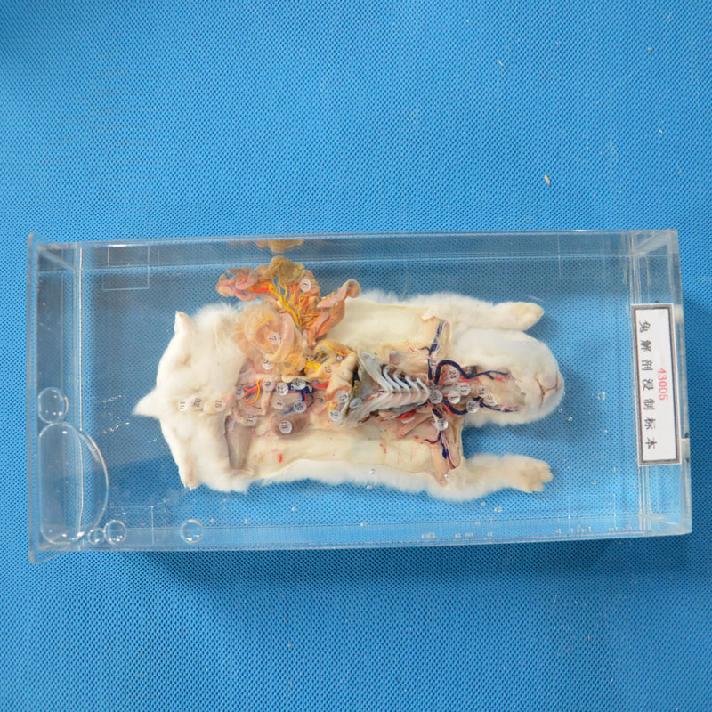 43005�ý��ʽ��Ƙ�(bi��o)��