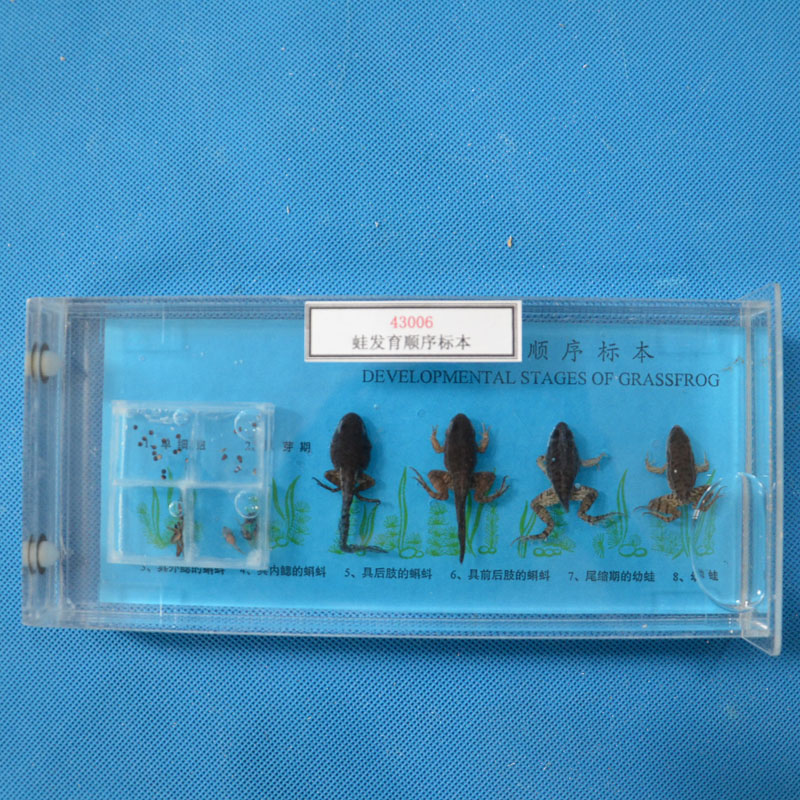 43006�ܰl(f��)������(bi��o)��