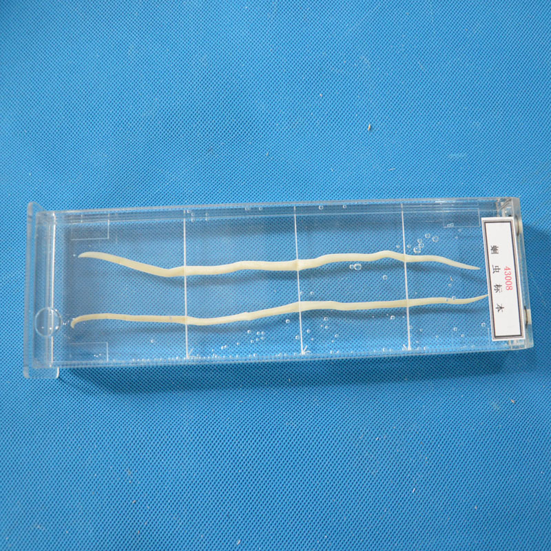 43008���x��(bi��o)��