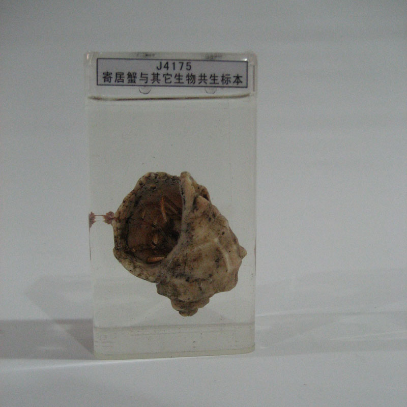 43016�ľ�з�c�������ﹲ����(bi��o)��