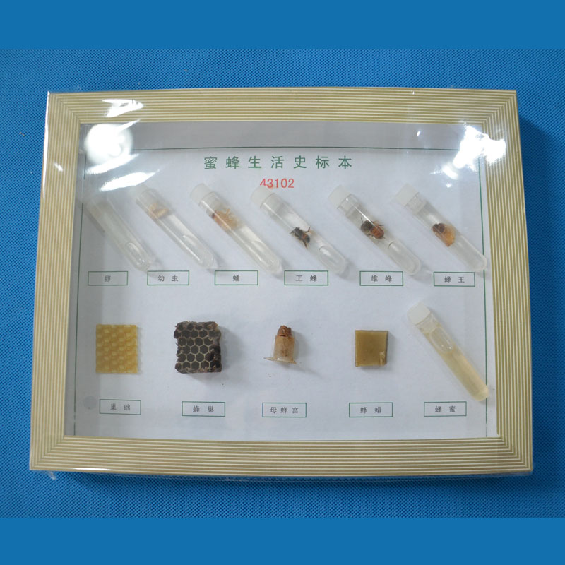 43102�۷�����ʷ��(bi��o)��