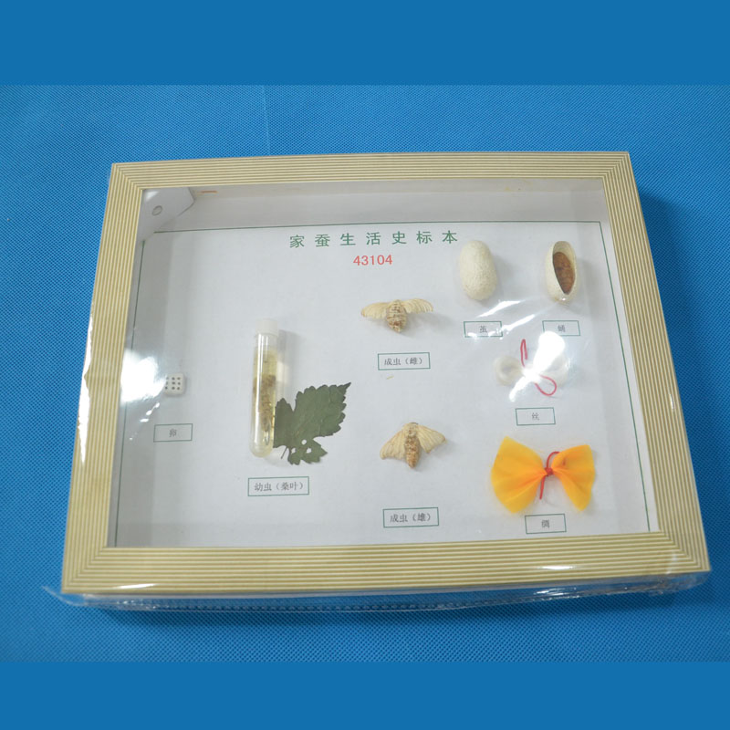 43104���Q����ʷ��(bi��o)��