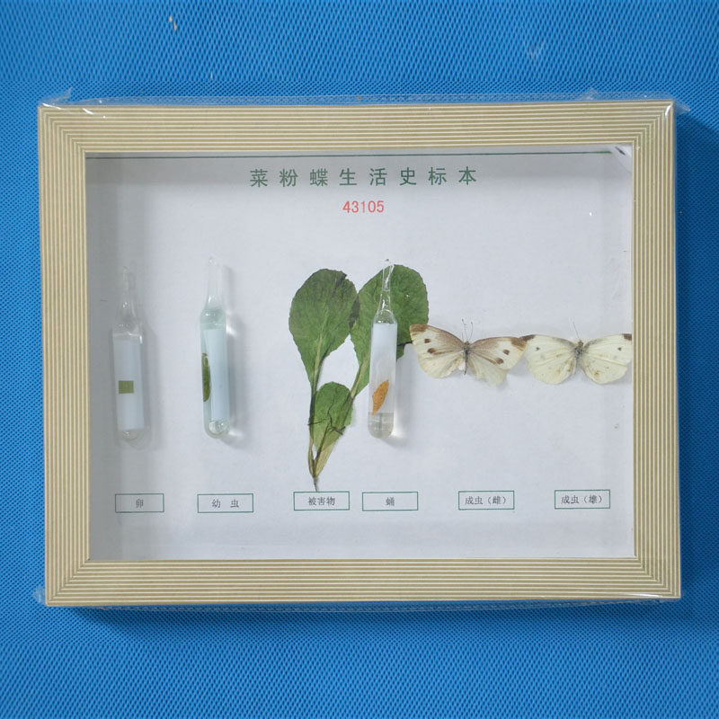 43105�˷۵�����ʷ��(bi��o)��