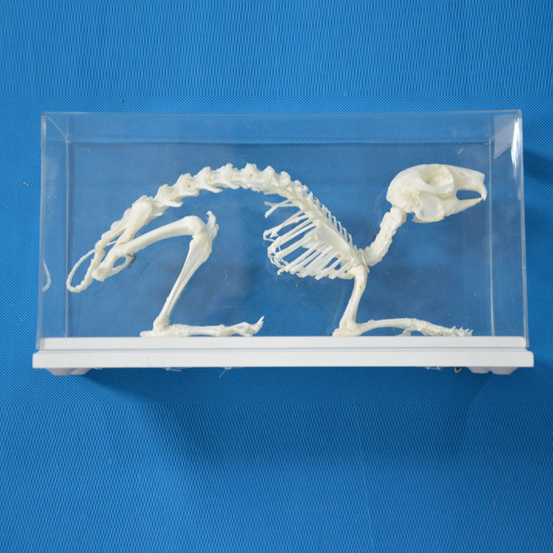 43106�ù�����(bi��o)��