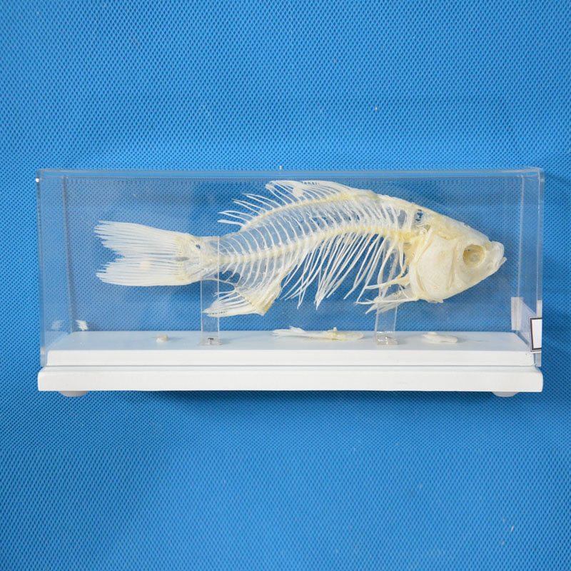 43107�~������(bi��o)��