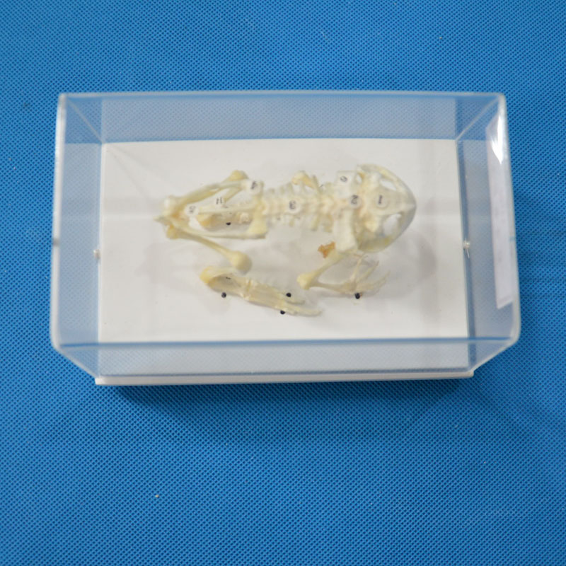 43108�ܹ�����(bi��o)��