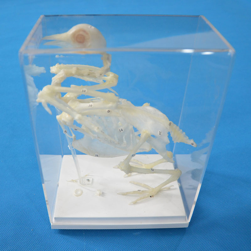 43109��������(bi��o)��