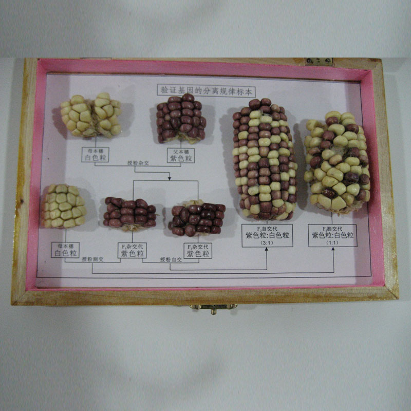 43110�(y��n)�C������xҎ(gu��)�����ט�(bi��o)��