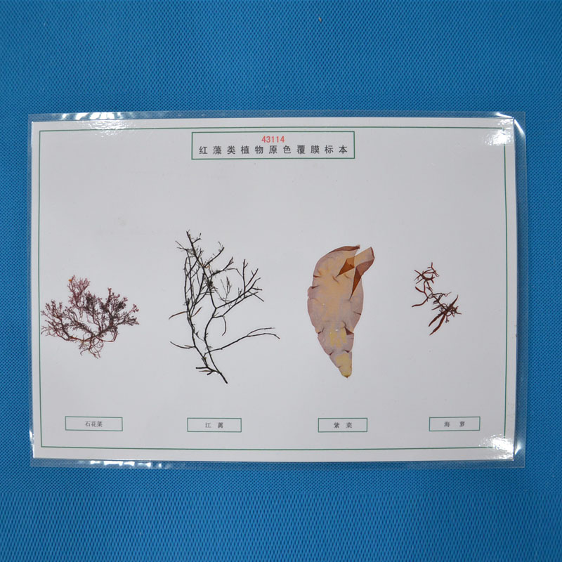 43114�t���ֲ��ԭɫ��Ĥ��(bi��o)��