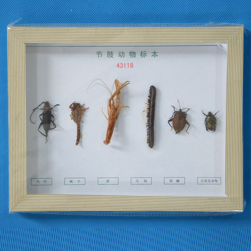 43118��(ji��)֫��(d��ng)���(bi��o)��