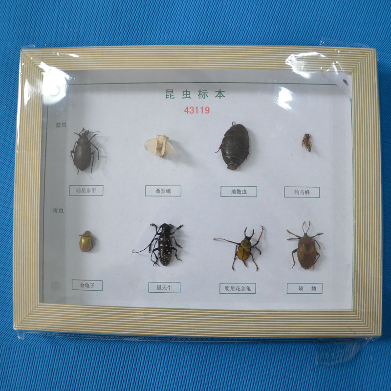 43119���x��(bi��o)��