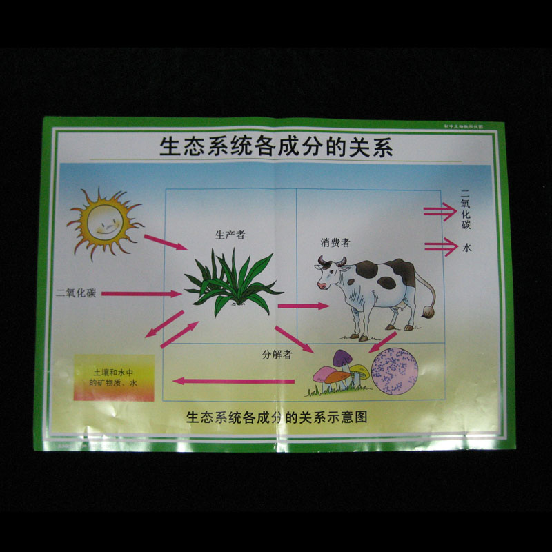 53002�����c�h(hu��n)��