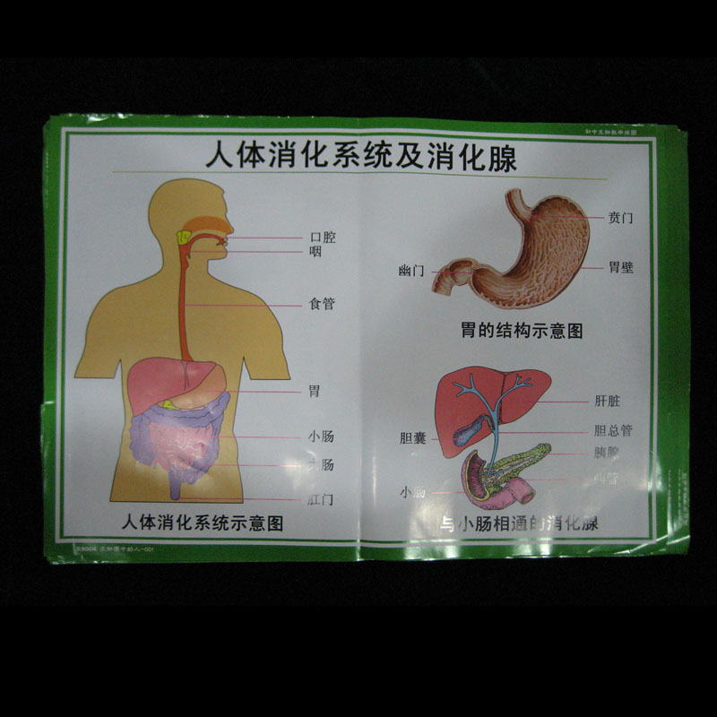 53004����Ȧ�е���