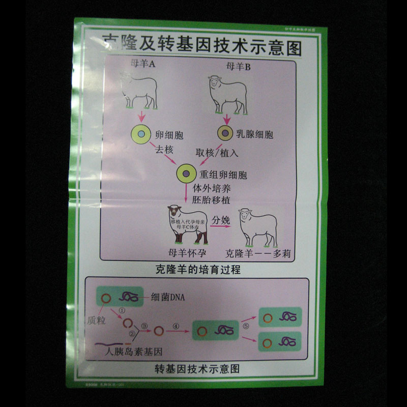 53008���＼�g(sh��)