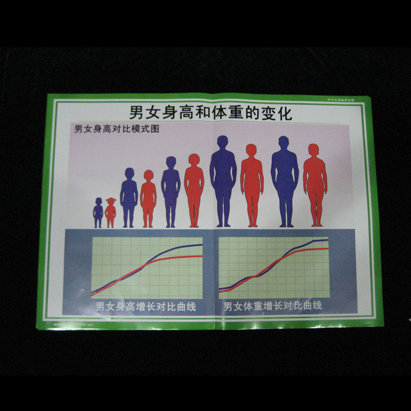 53009����������