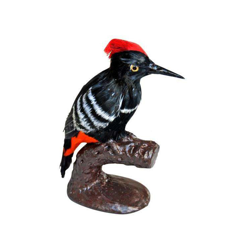 39101��ľ�B(ni��o)����ģ��