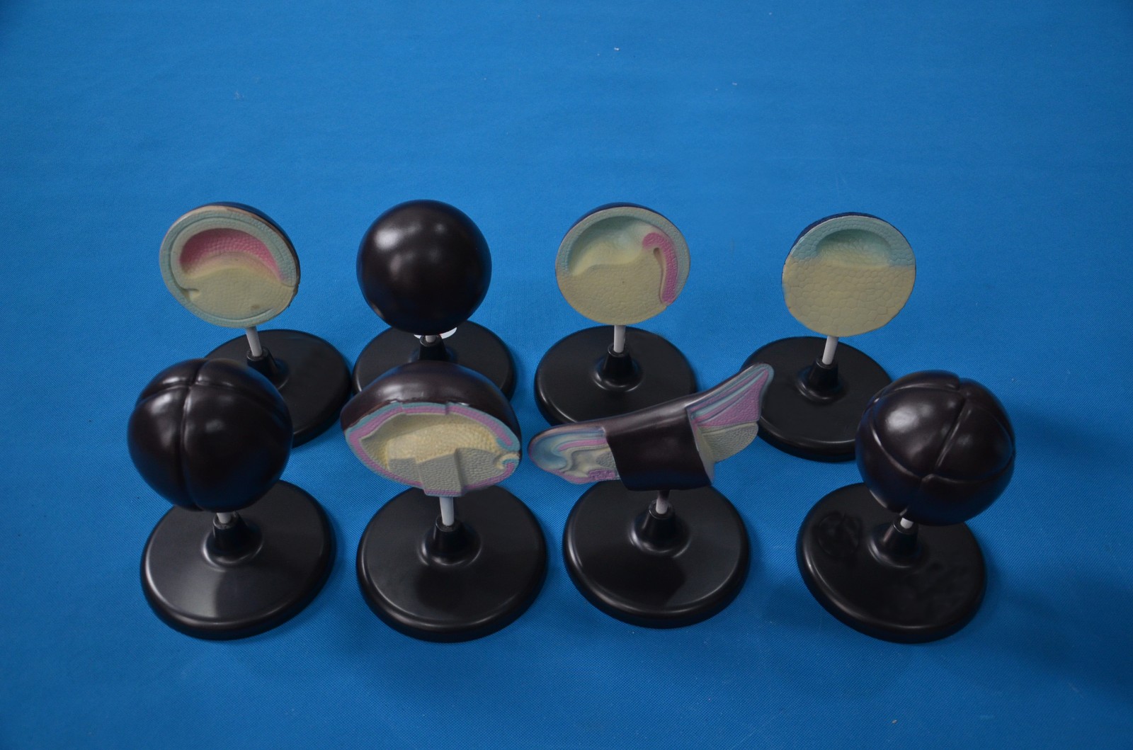 33102����̥�l(f��)��ģ��