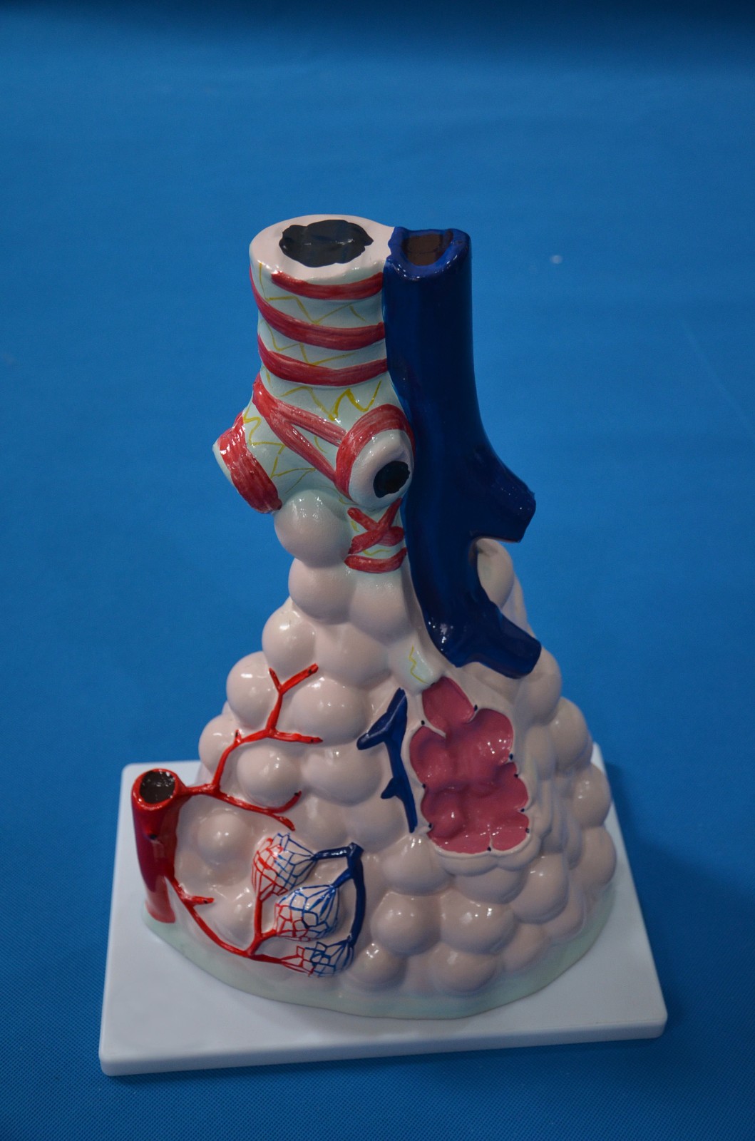 33210����ģ��