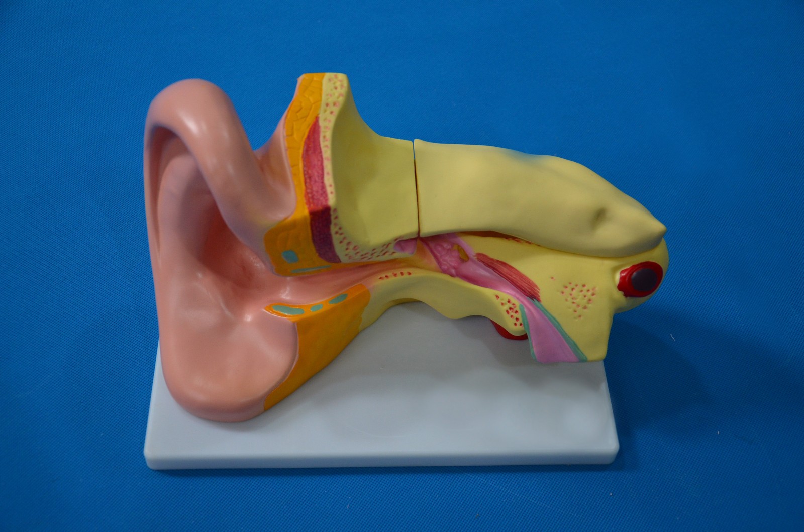 33212������ģ��