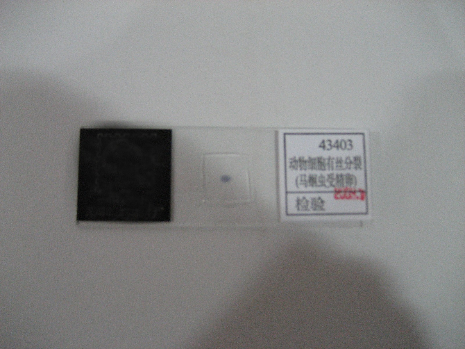 43403-1��(d��ng)�：(x��)���нz����