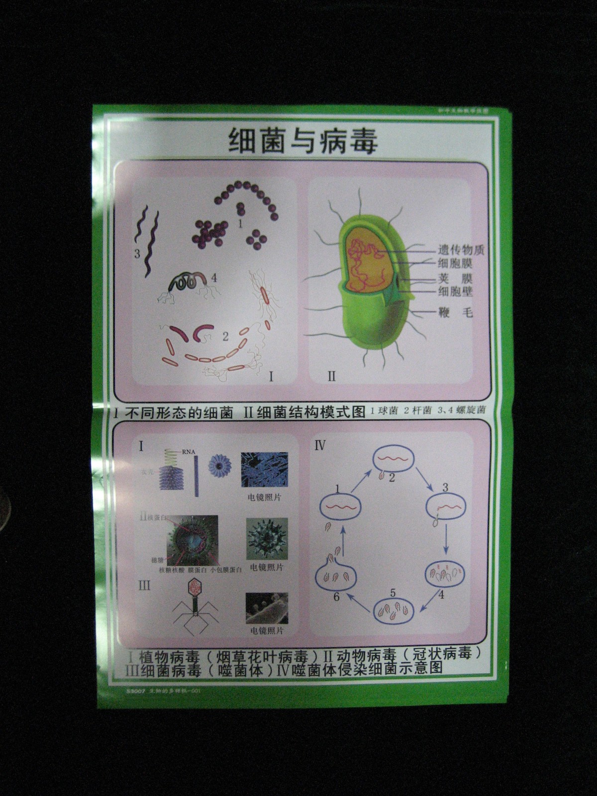 53007���������