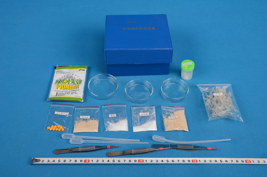 80309�M�����B(y��ng)��ԇ����